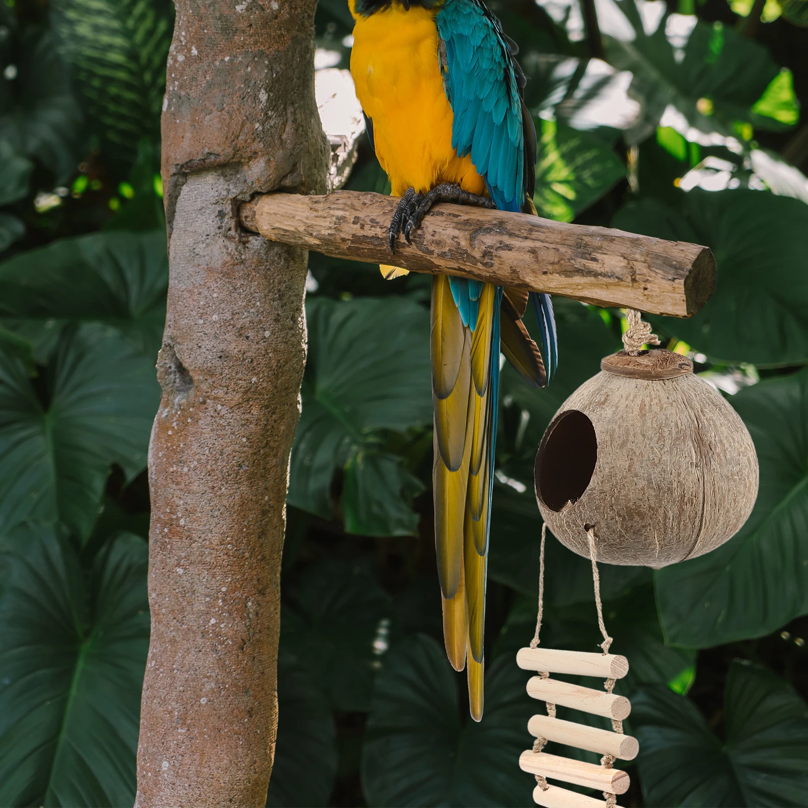 

Coconut Shell Bird Nest Large Bed Manual Hatching Hanging Wooden Parrot Breeding Sleeping Pet Cage Home Decorative