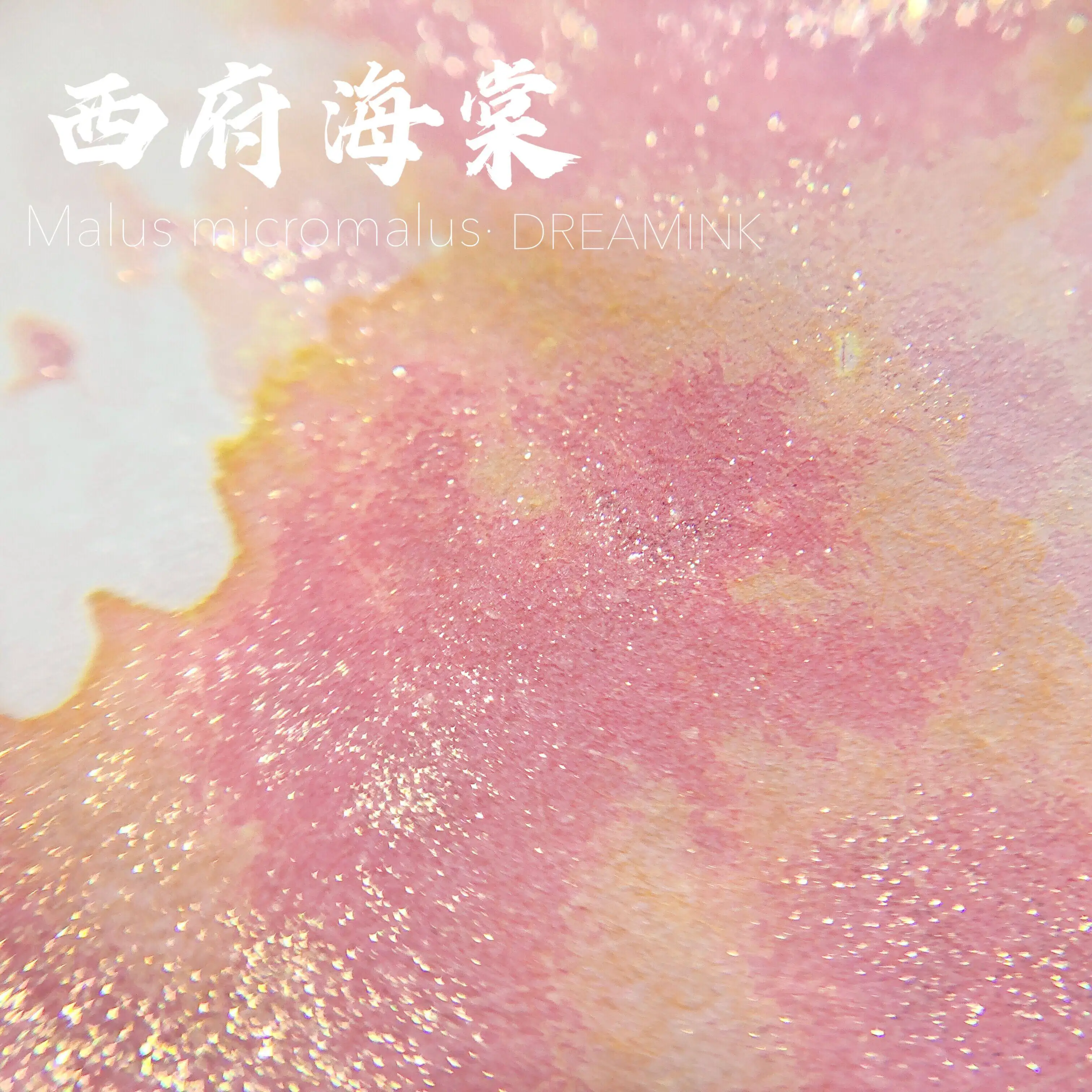 DREAMINK Begonia Floral Sheen Fountain Pen Ink 5/20ml Set Shimmer Calligraphy Ink For Students School Supplies Stationery