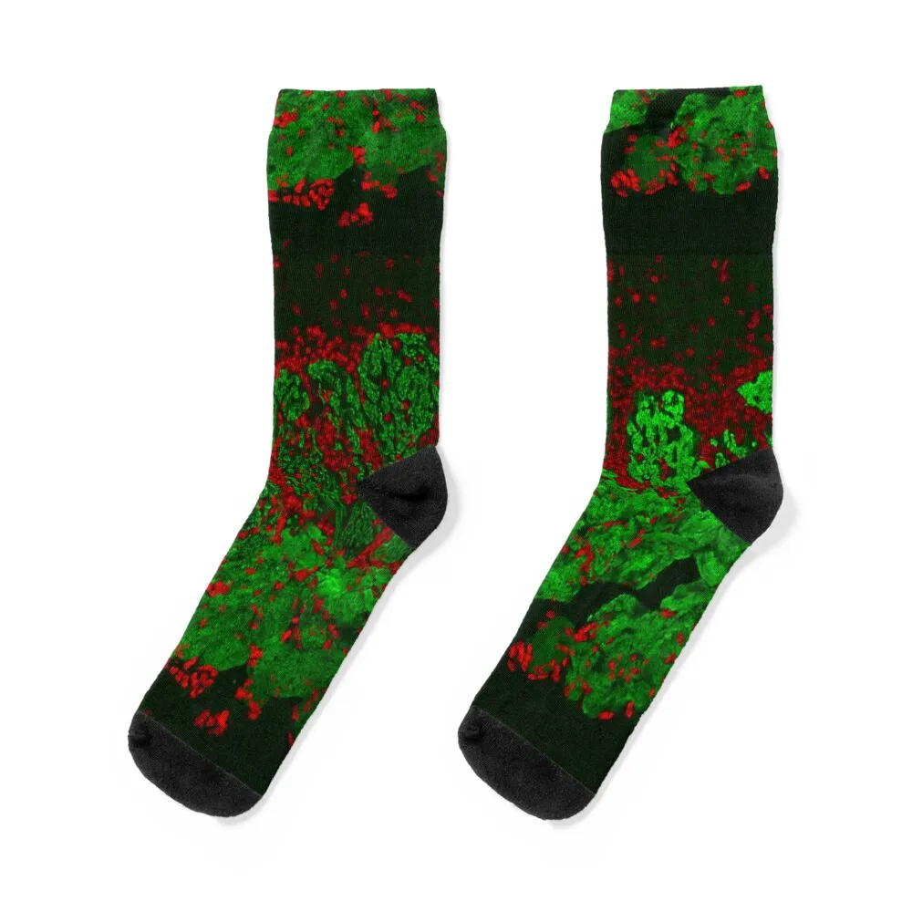 

Abstract Green and Red Waves Socks Christmas Non-slip Socks Man Women's
