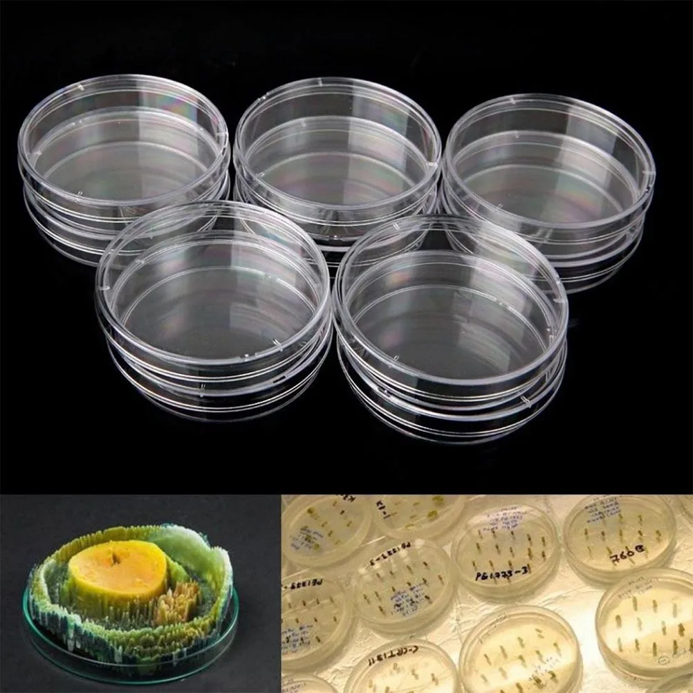 

Plastic Petri Dish Petri Dish Plastic Plastic Petri Dish with Lid Petri Dishes with Lid