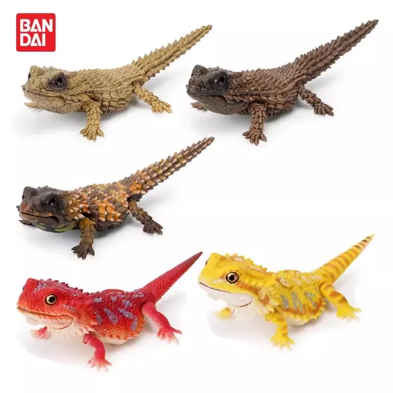 

Bandai Original 5Pcs Gashapon Lizard 12Cm Action Figure Toys For Kids Gift Collectible Model Ornaments