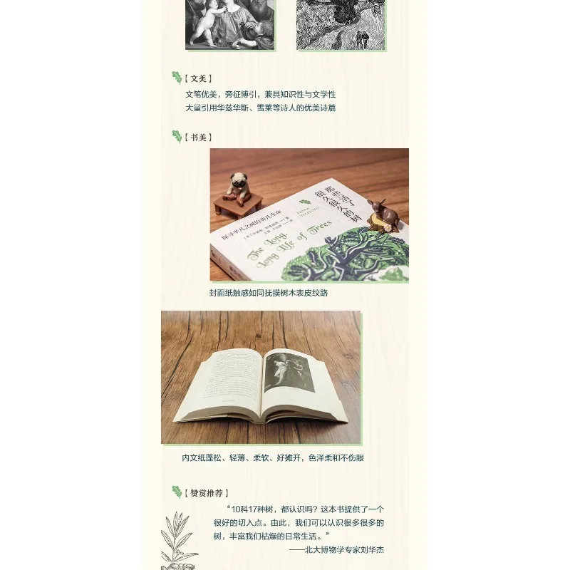 Picture 5: Those trees that have lived for a very long time ：Exploring the extraordinary life of an ordinary tree Popular Science Book