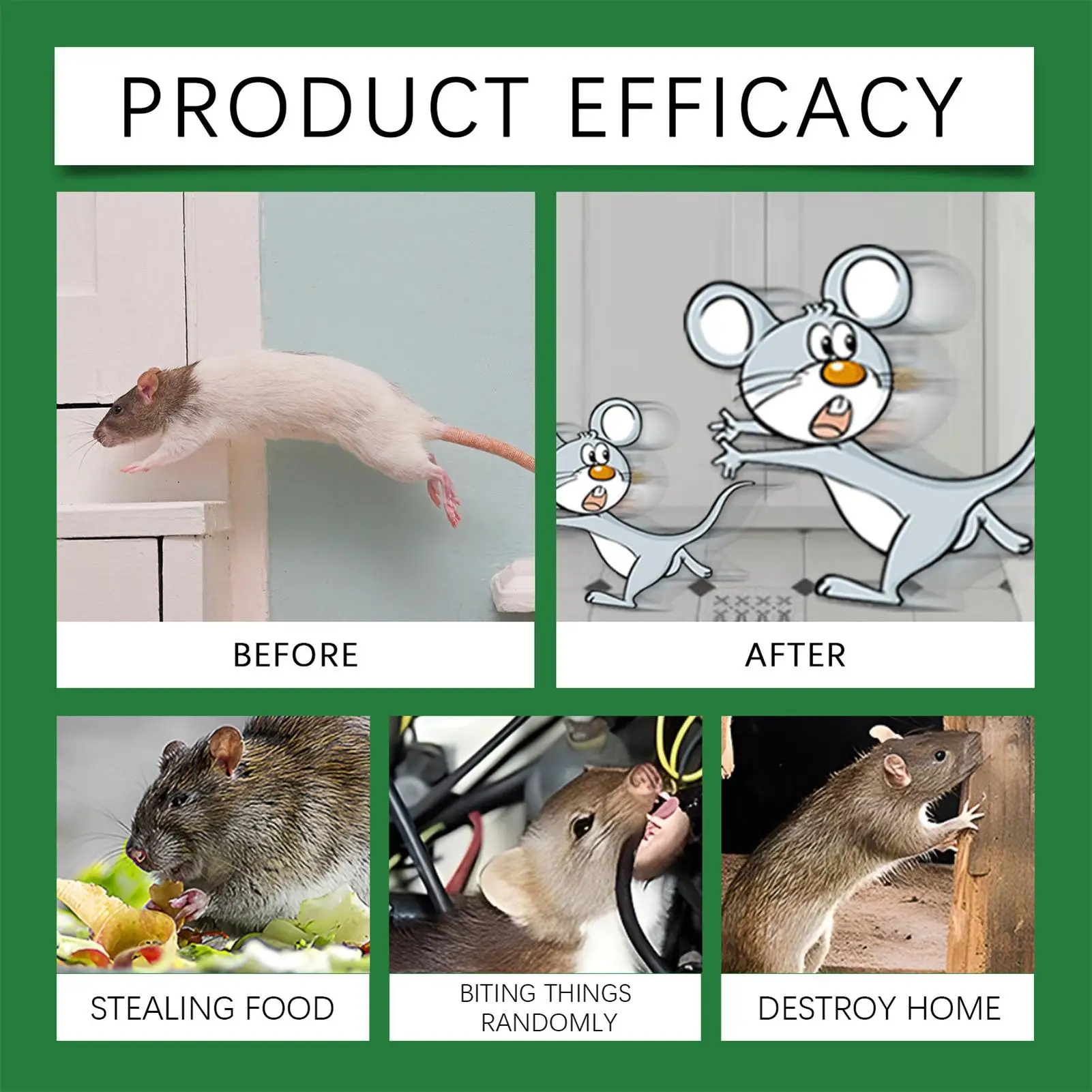 Powerful Mint Scent Rat Repellent Spray Safe for Humans Pets Protect Furniture Long Lasting Outdoor Garden Rat Repellent Spray