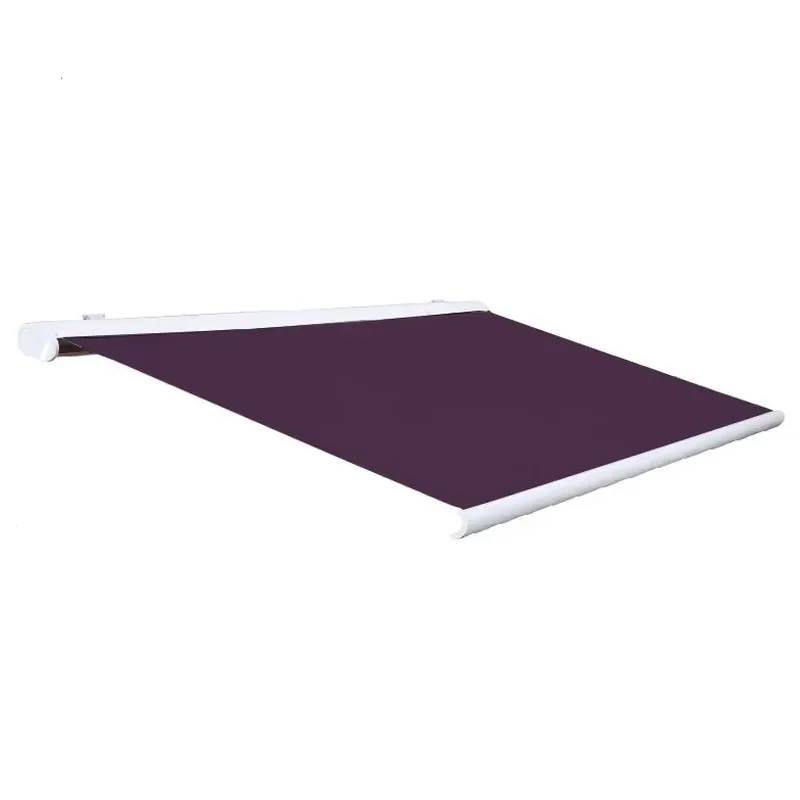 Motorized European Style Cassette Aluminum Window Door Retractable Awning for Windows and Doors