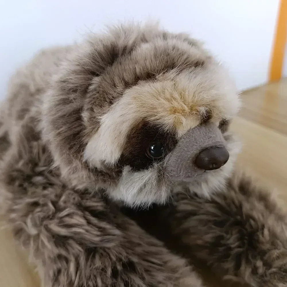 สวนสัตว์ 35 ซม.จําลองเหมือนจริงสาม Toed Sloth Plush ของเล่น Folivora ตุ๊กตาสัตว์ตุ๊กตาวันเกิดคริสต์มาสของขวัญเด็ก