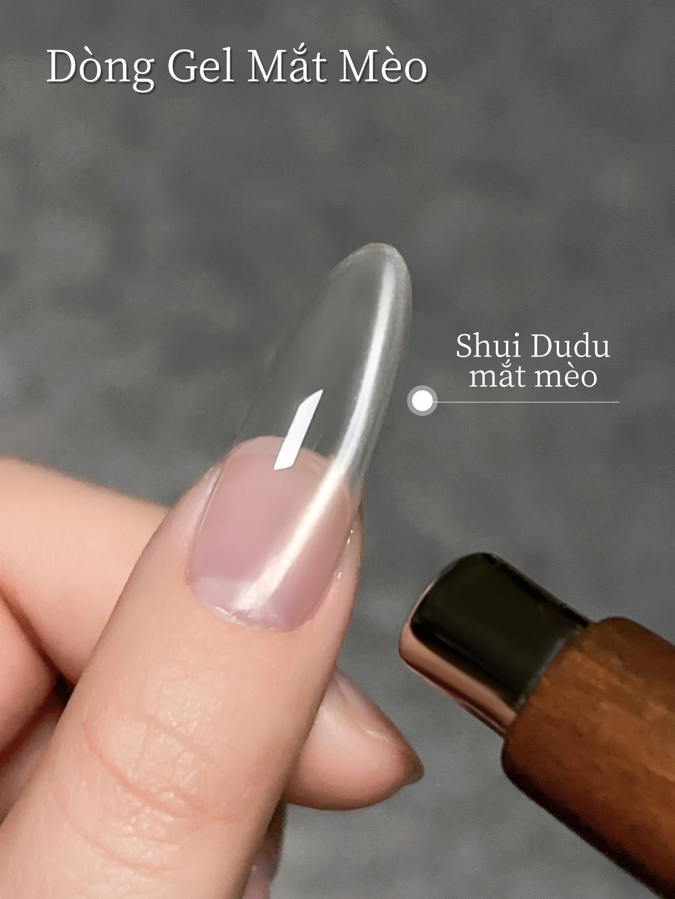 15ML shui Dudu And Ice Crystal cat Eye Nail Gel Set Semi Permanent Nail Art Soaking UV LED Nail Salon DIY