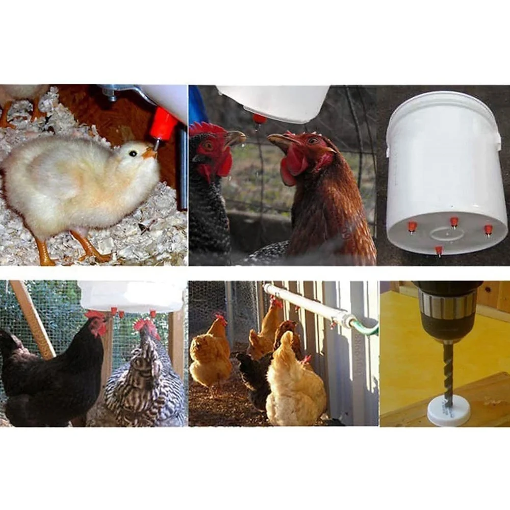 50Pcs Poultry Chicken Nipple Drinker Spring Type Bird with Automatic Water Dispenser Chicken Mouth Bird Drinking Water