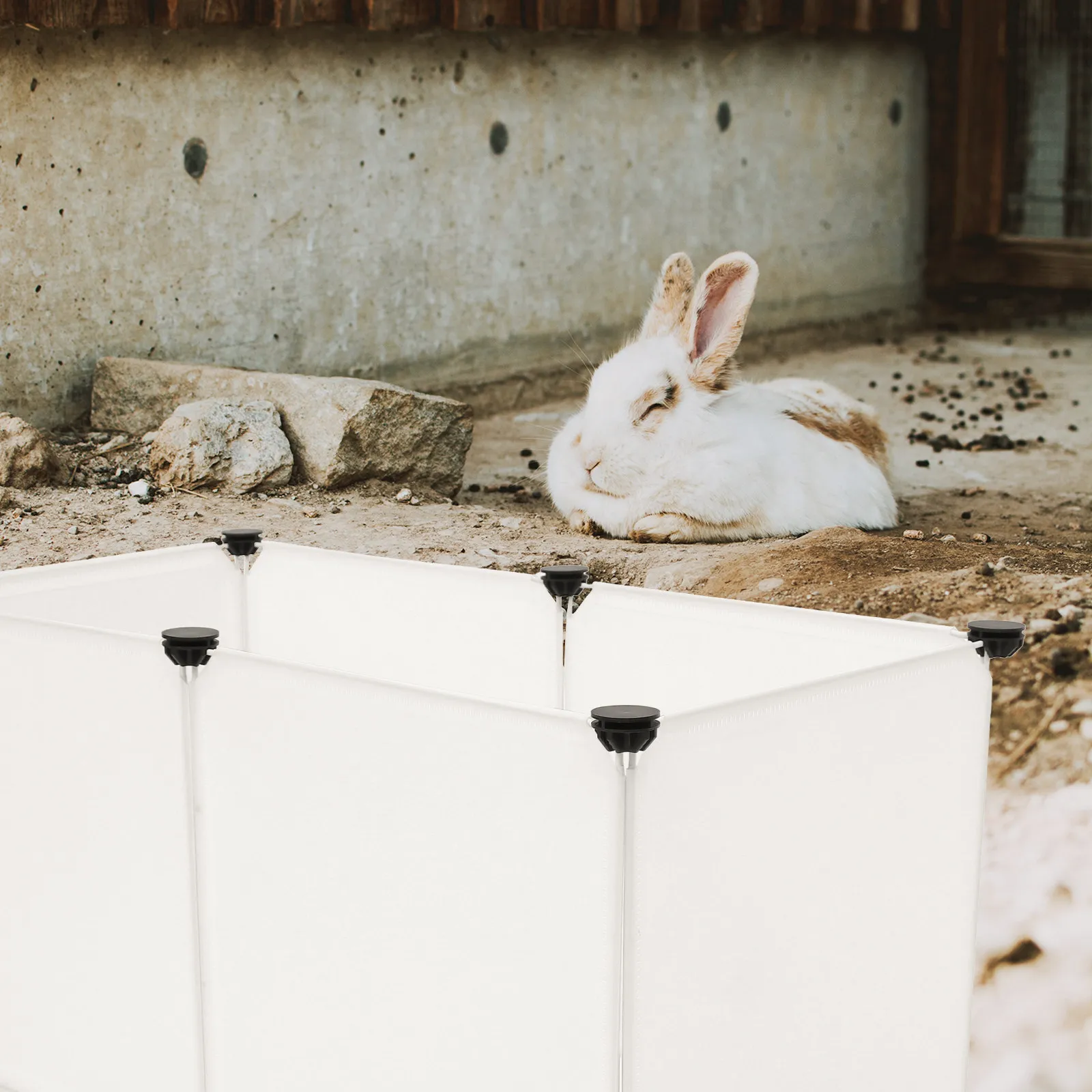 

Комплект из 1-го прочного сборного ограждения из полимерной смолы для домашних животных, защитный манеж-вольер для игр и тренировок в помещении, подходит для мелких и средних питомцев