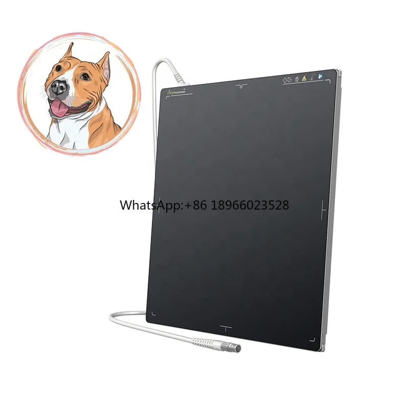 Medical X Ray Flat Panel Detector Veterinary Digital Flat Panel X-ray DR System Cmos wired Xray Flat Panel Detector