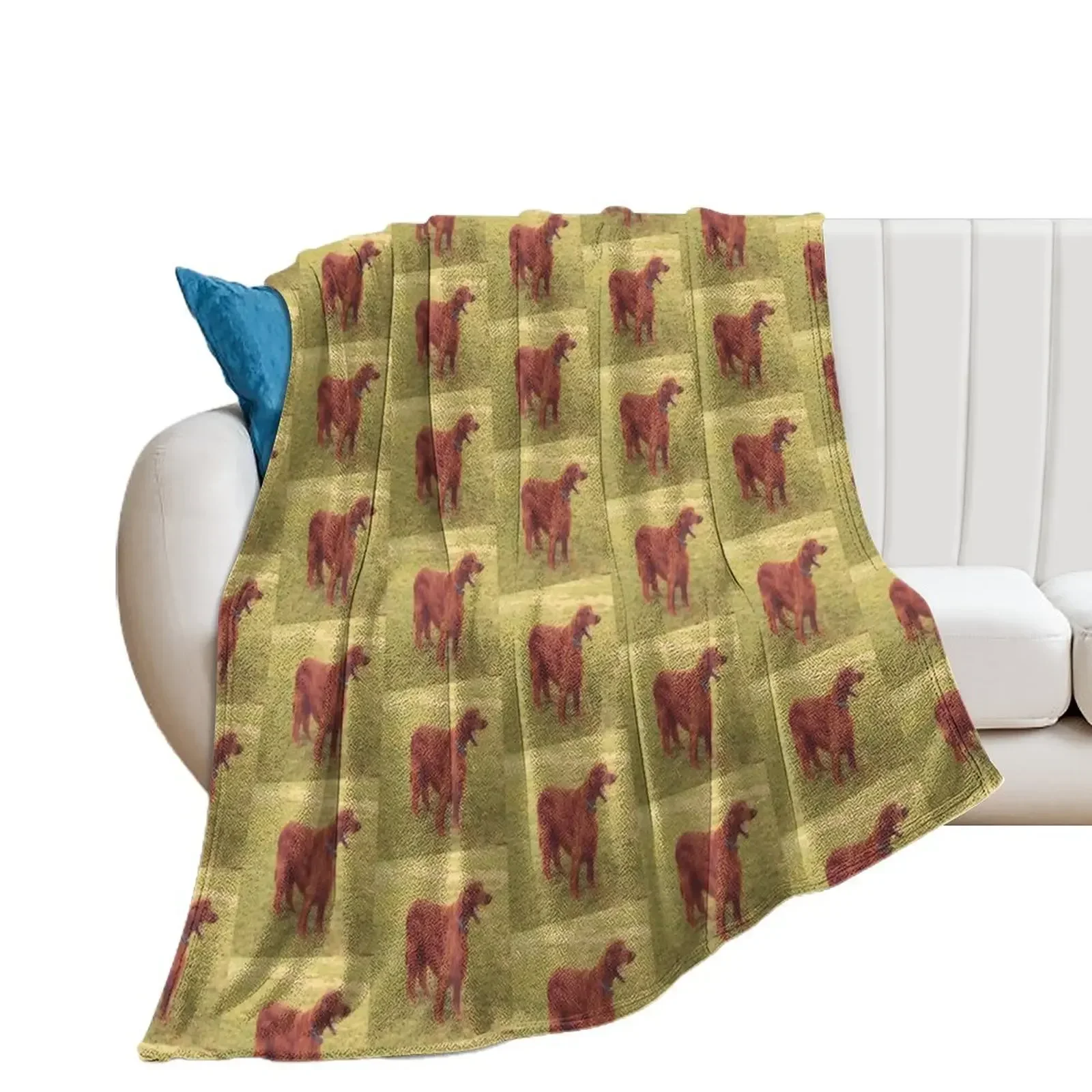 

Irish setter Throw Blanket Sofa Throw Nap Blankets