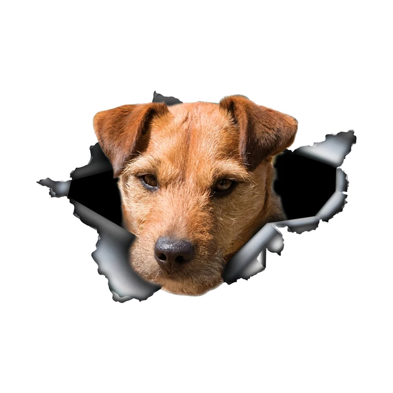 

DK531# Patterdale Terrier Car Stickers Funny Waterproof Vinyl Decal Motorcycle Decorative Accessories, Used for Car, Motorcycle,