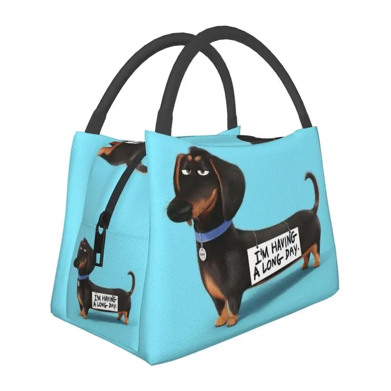 

Dachshund Dog Funny Pupy Insulated Lunch Bag for Women Resuable Wiener Badger Sausage Dog Cooler Thermal Lunch Box Office Picnic