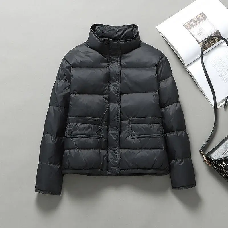 

Легкая женская пуховая куртка свободного кроя с воротником-стойкой в корейском стиле для повседневной носки, теплая, на молнии