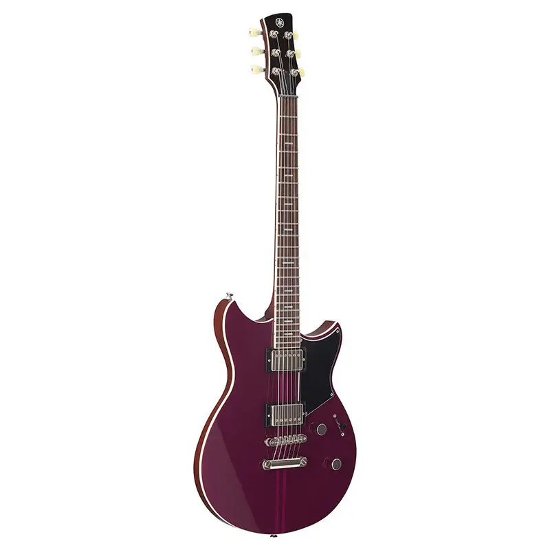 

Rock electric guitar