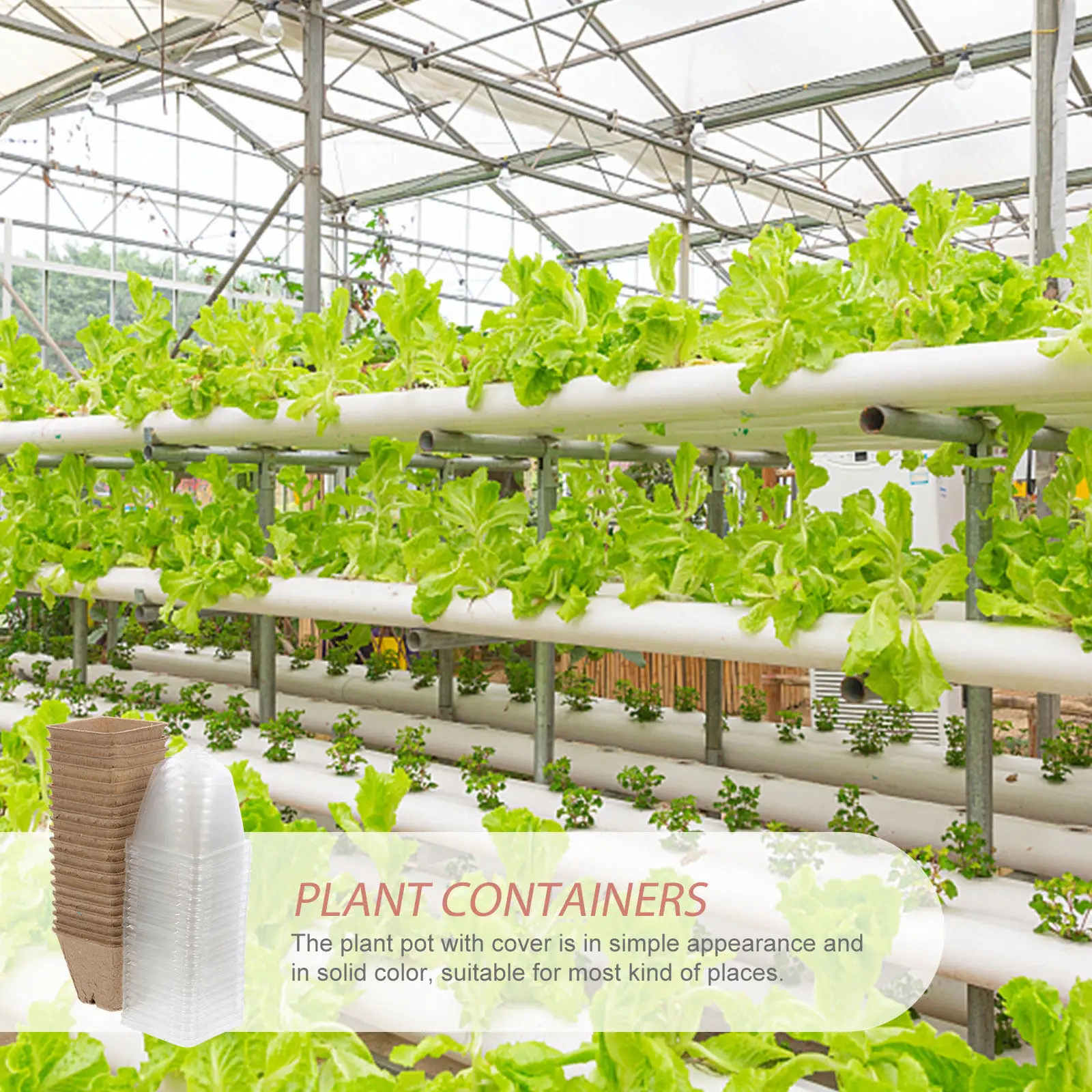 

20Pcs Paper Seedling Pots Eco-Friendly Biodegradable Plant Starters with Drainage Holes for Indoor Outdoor Gardening Nursery