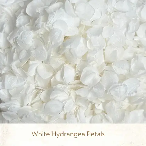 1.4 oz 40g White Wedding Confetti Bright White Hydrangea Petals Confetti Eco Friendly Biodegradable White Petal Confetti