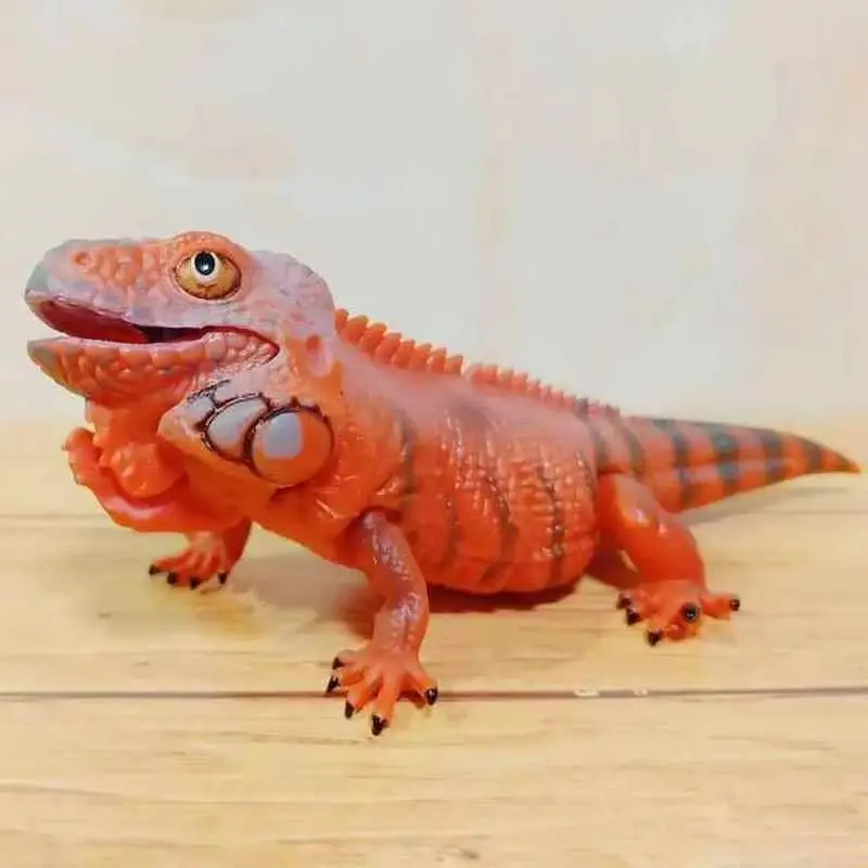 بانداي غاشابون خريطة بيولوجية كبيرة أبو بريص سحلية الأزرق اللسان جلود محاكاة المنقولة الحيوان عمل نموذج لجسم اللعب