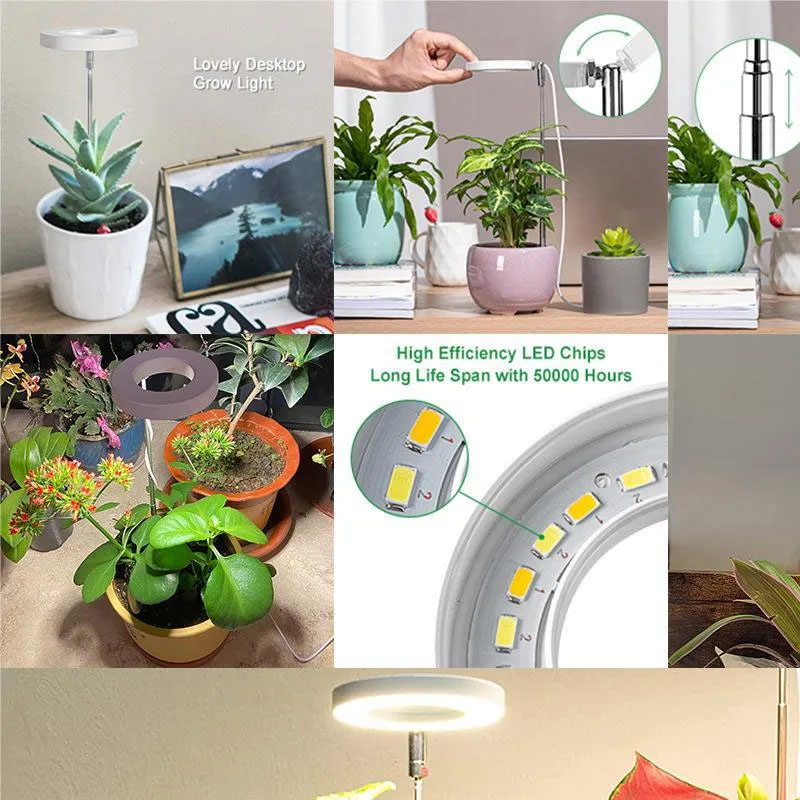 Imagem -04 - Retrátil Led Plant Grow Light Angel Ring Suculento Flor Hidroponia Lâmpada com Temporizador para Plantas de Interior