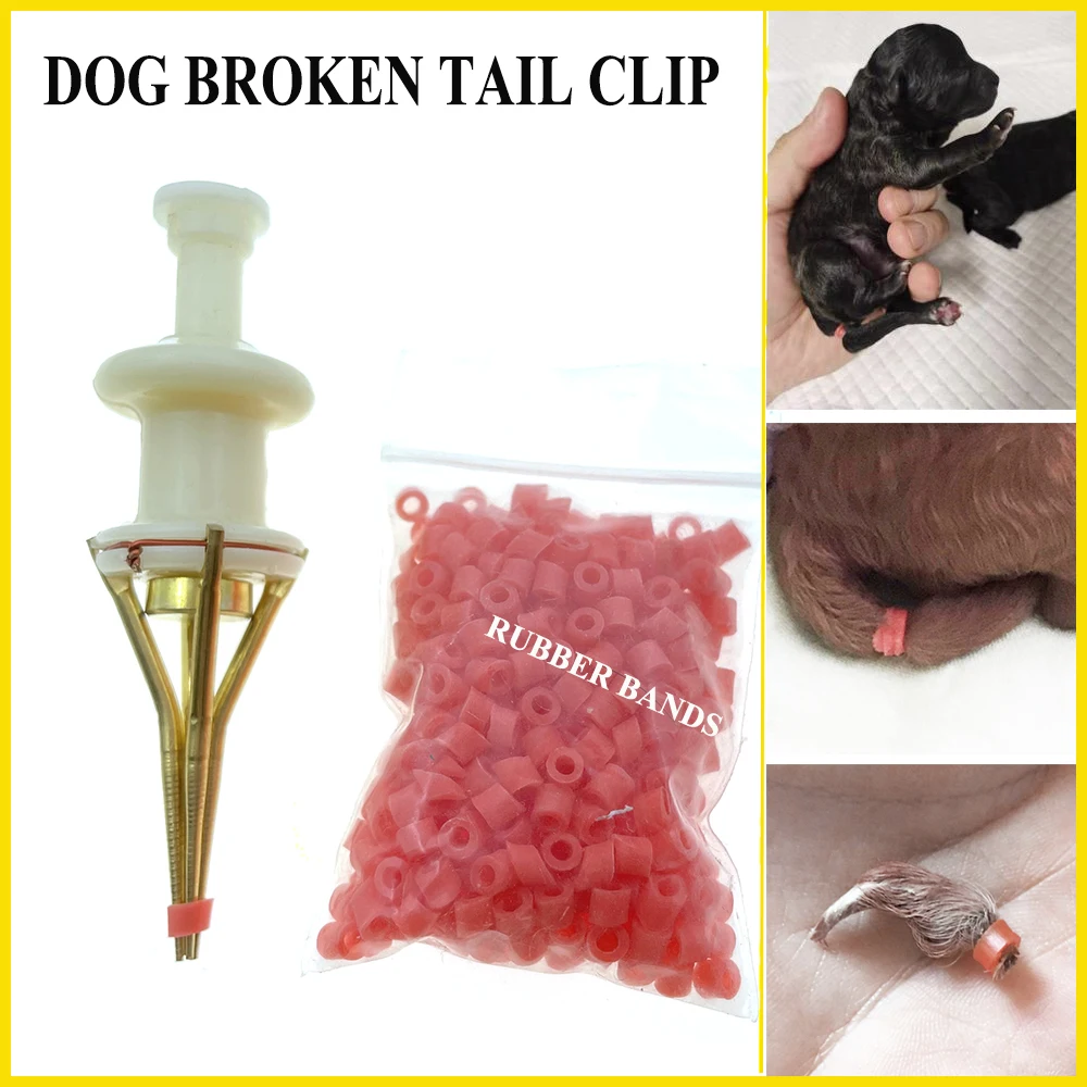 1 Set Werkzeug zum Entfernen von gebrochenen Ringen für kleine Hunde und Welpen mit Gummiband-Clip und Schere für den Heimgebrauch – Detail 1