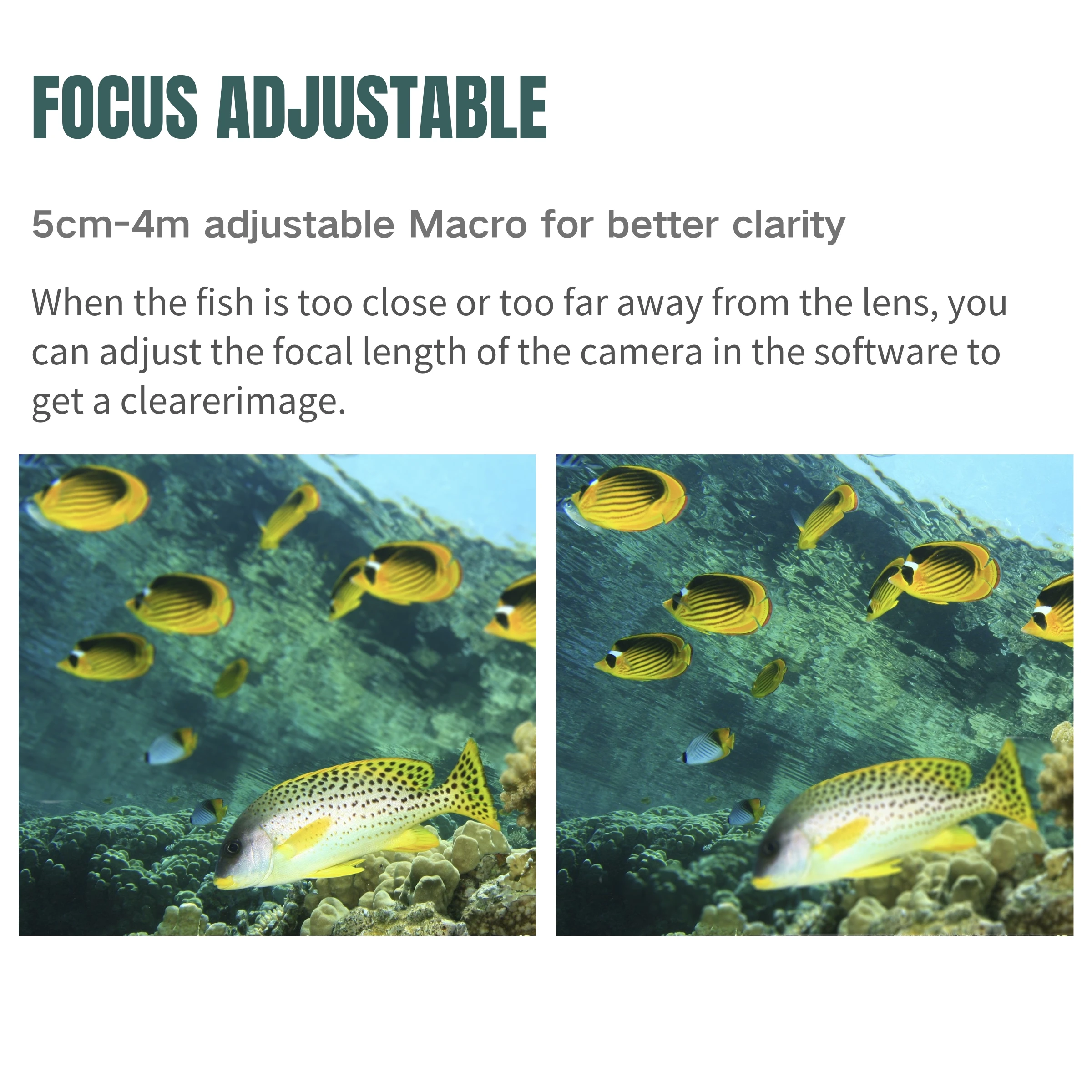 كاميرا IP قوية 1080 بكسل تحت الماء للمياه التعكرية