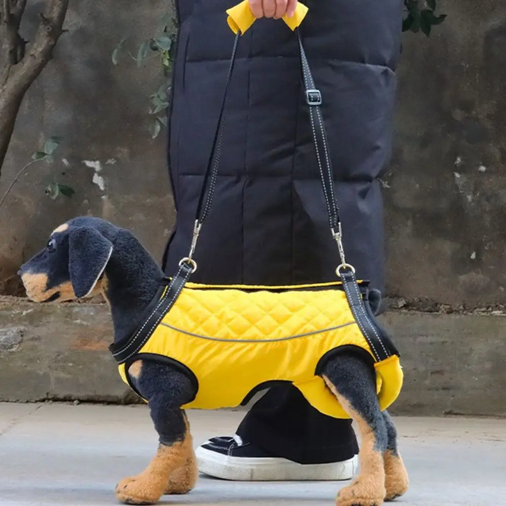 Thumbnail 3 - #26 Trending Puppy Carriers Right Now