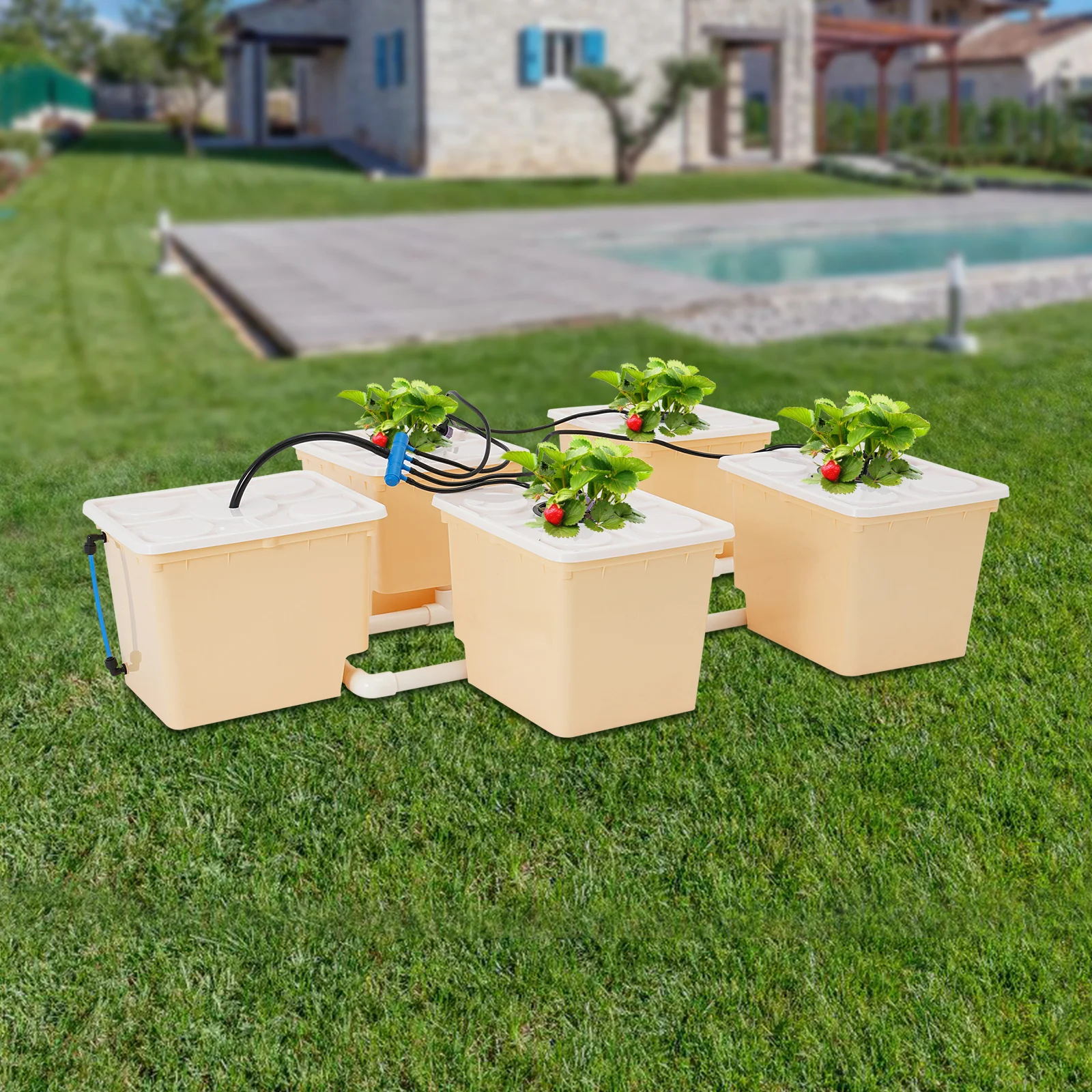 

Bymaocar 5-Box Deep Water Culture Hydroponics Growing Kit 11L Large Dutch Bucket Drip Growing System for Indoor & Outdoor W/ Lid