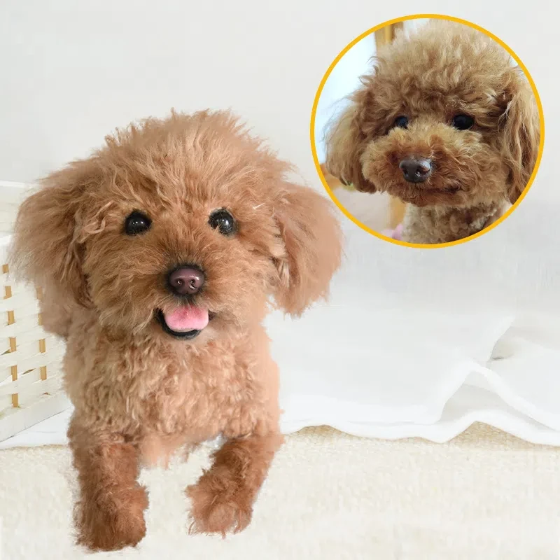 Dropshipping Gift Pet Commemorative Teddy VIP Exclusive Custom Handmade Simulated Cat and Dog Plush Toy Gift