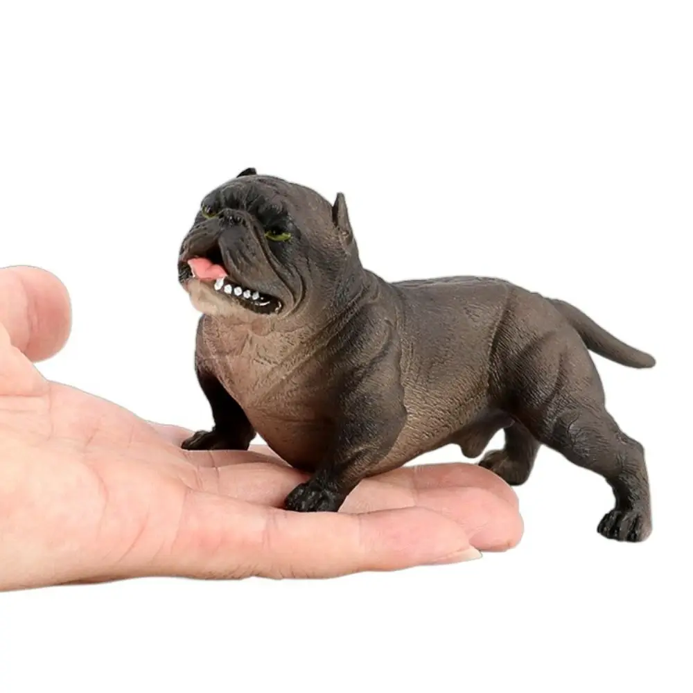 Animal Model Bulldog Model Ornaments Educational Simulation Bulldog Solid Realistic Pitbull Figurine Home Decoration