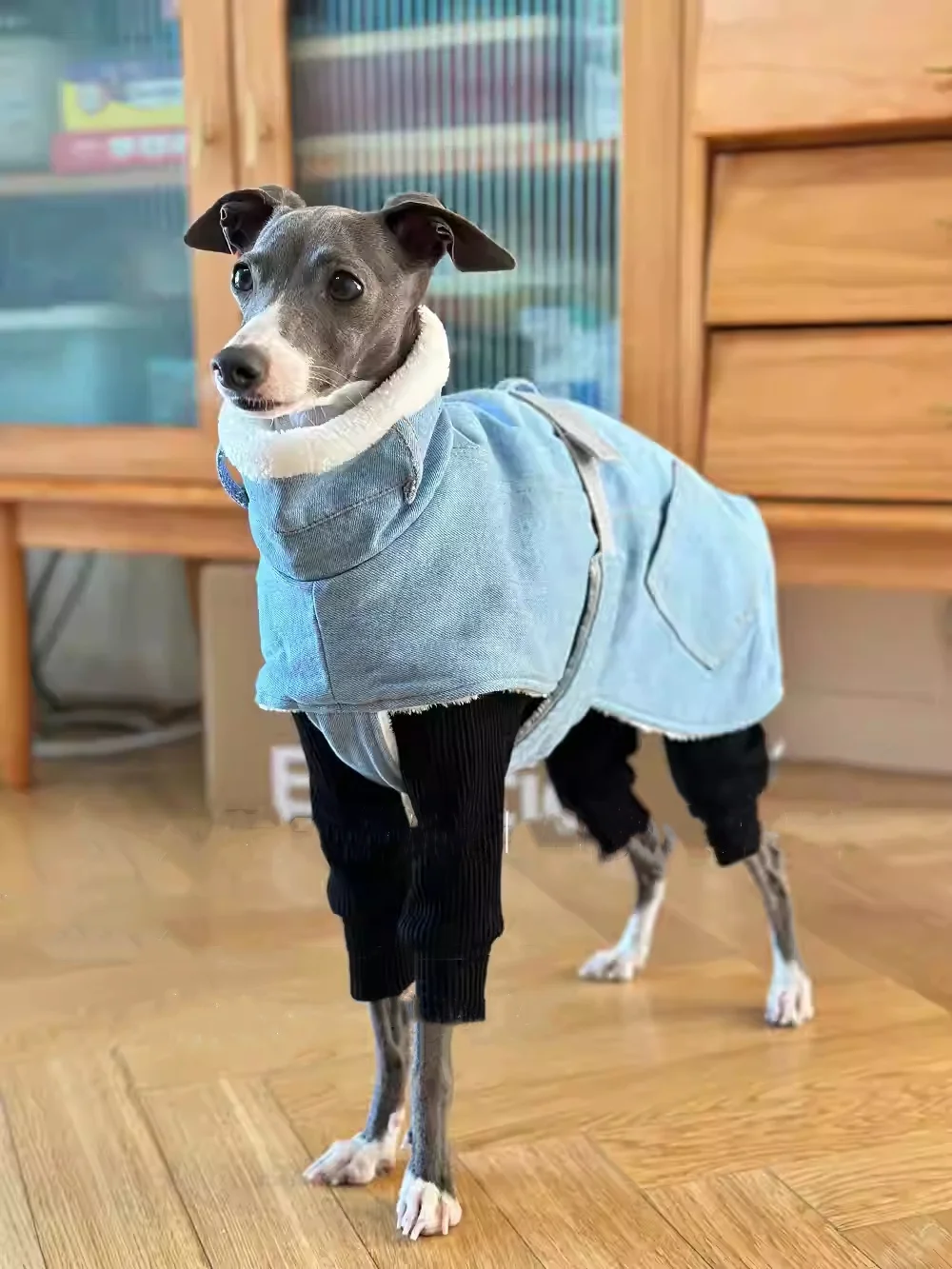 Blue Fleece Cape Denim Jacket for Italy Greyhound Winter Thick Windproof Warm High-Neck Cotton Coat for Whippet Berlington Dogs