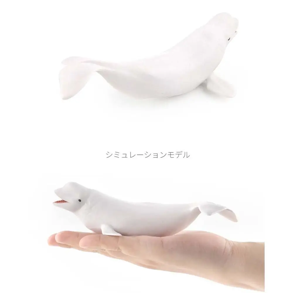 シミュレーション海洋動物モデル 海洋生物 水中生物 クジラのフィギュア 教育用 ソリッドPVC 海洋生物フィギュア
