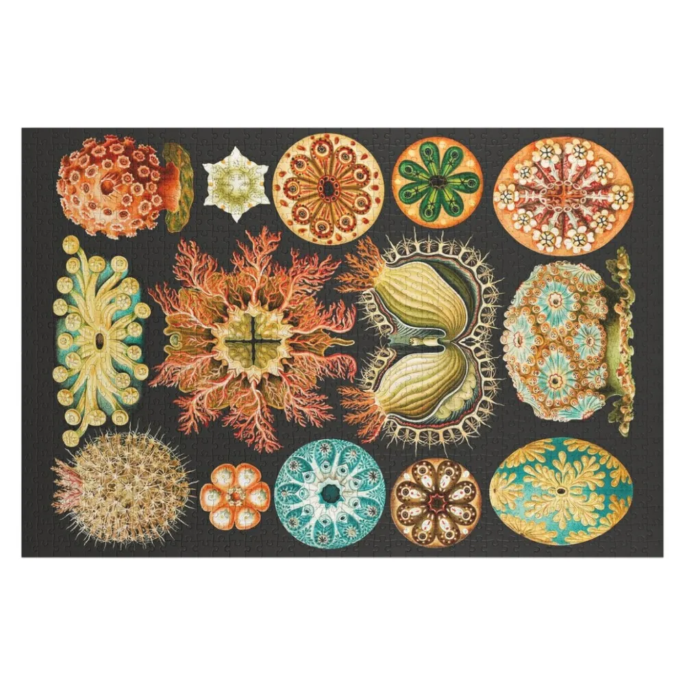 

Ernst Haeckel Sea Squirts Illustration, 1904 Jigsaw Puzzle For Children Personalized Gifts Custom Photo Puzzle