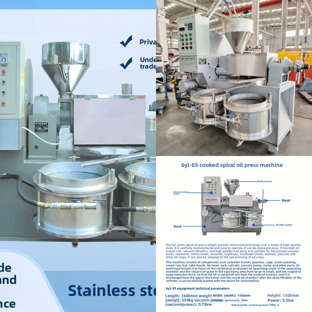 

100 Type Spiral Peanut Rapeseed Pressing Production Line Tea Seed Oil Press Machine Commercial Fully Automatic