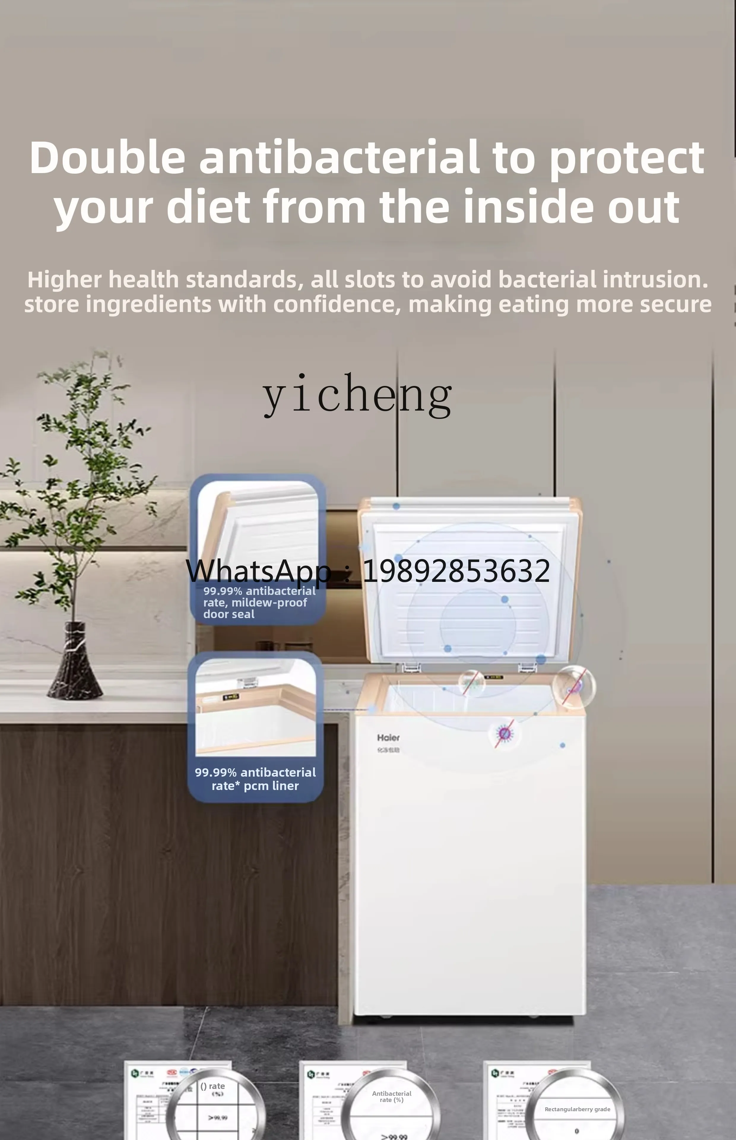 Household Small Full Freezer Refrigerator 100/200L Freezer First-Class Energy Efficiency Non-No Frost
