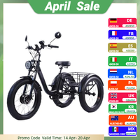 48V Cargo Electric Bike Tricycle Adults Fat Tire 24 Inch Family Fatbike Electric Bicycle Mountain For Men Removable Battery