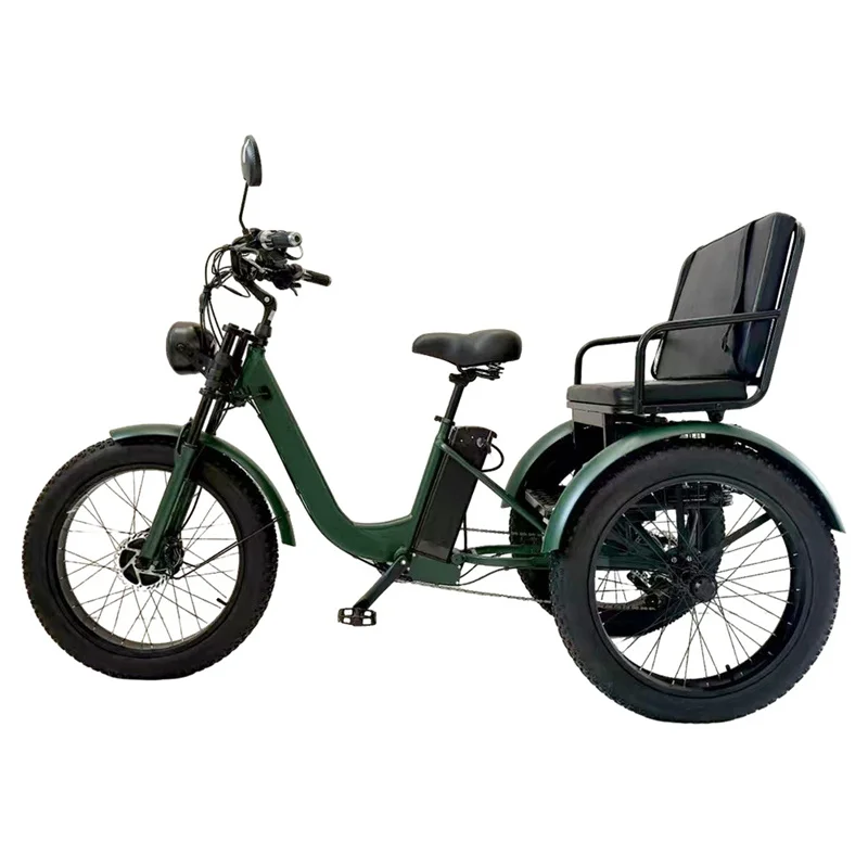 3-Rad-Elektrofahrrad für Erwachsene, für Fracht, Beifahrer, Familie, Berg-Elektrofahrrad mit abnehmbarem 3-Sitz-Akku, 750 W, 48 V