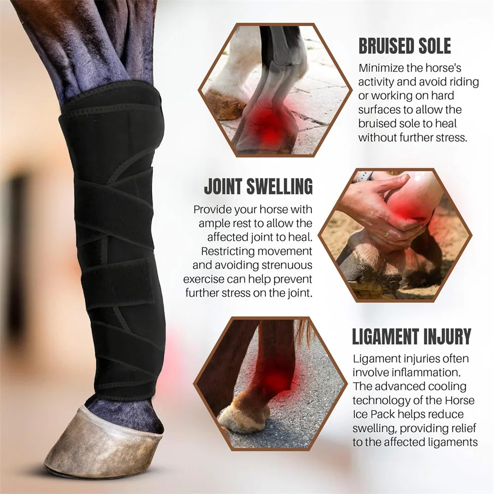 2PCS Horse Legging Boots Anti-Collision Diving Material Soft Shock Absorption Equestrian Horse Racing Equipment