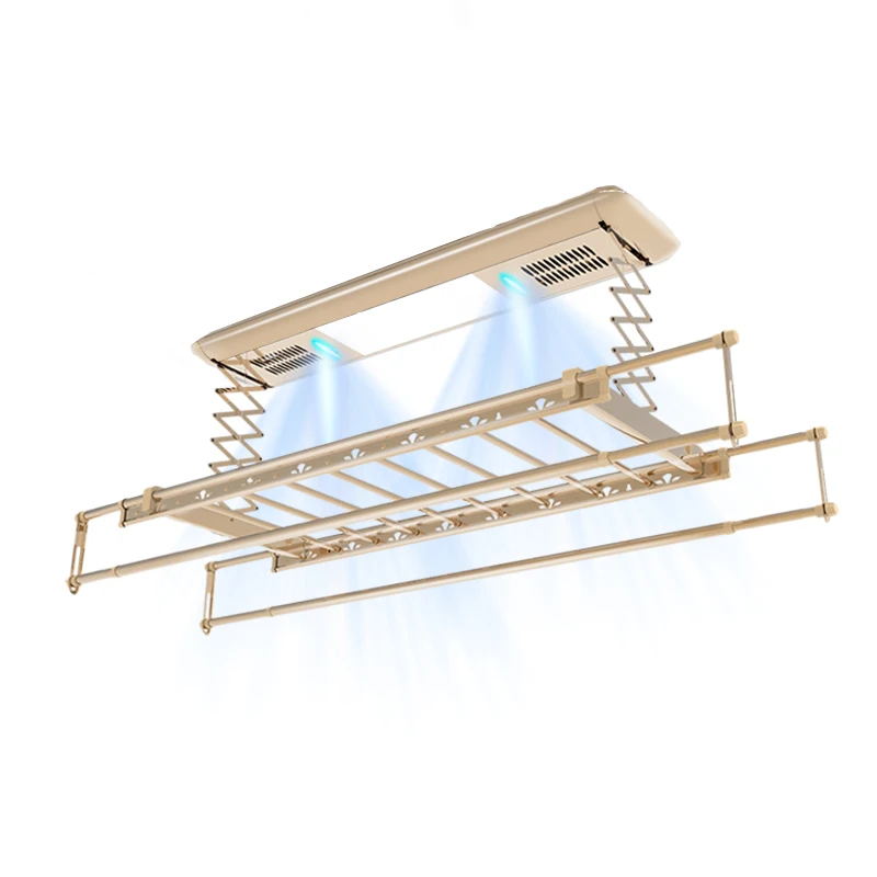 Electric Body Lift Ceiling Mounted Remote Control Hanger Smart Clothes Horse Electric Rack