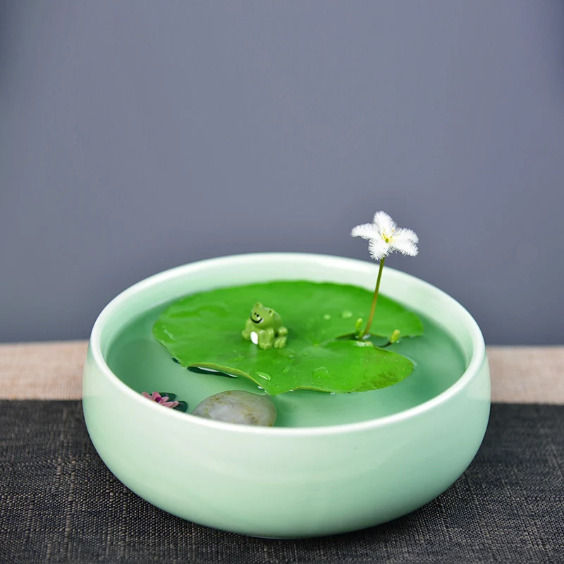 Lotus Bowl Lotus water plant water culture potted flowers green aquatic flowering bonsai indoor balcony living room