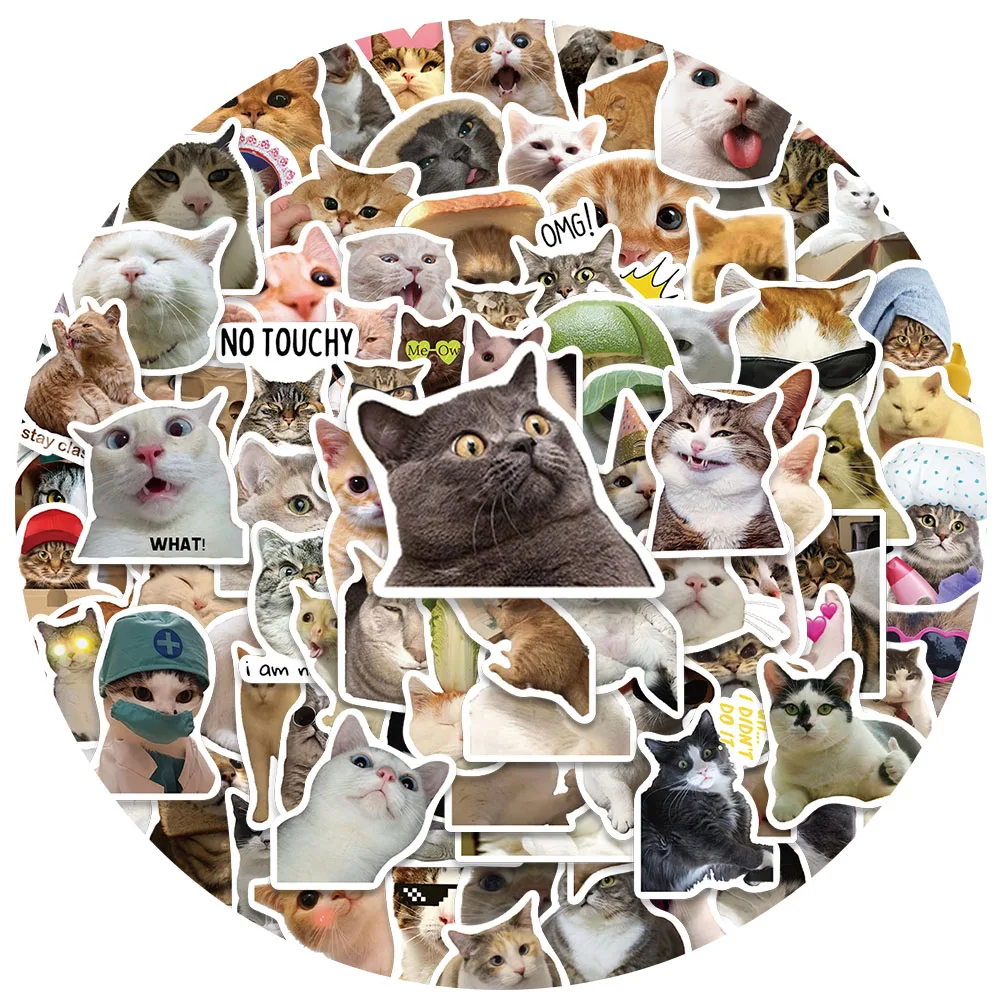 50/100pcs Funny Cat Meme Stickers Water Bottle Kitten Stickers Laptop Luggage Notebook Skateboard Waterproof Vinyl Car Decals