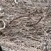 Máquina Sembradora de Arroz Agrícola C145, Sembradora Manual de Maíz, Sembradora de Arroz