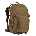 Coyote Brown