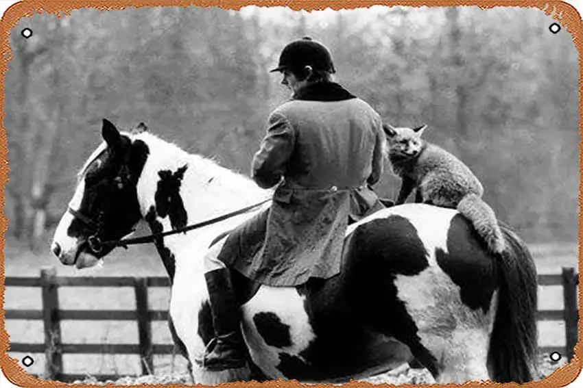 Metal Tin Sign Ch -… - image