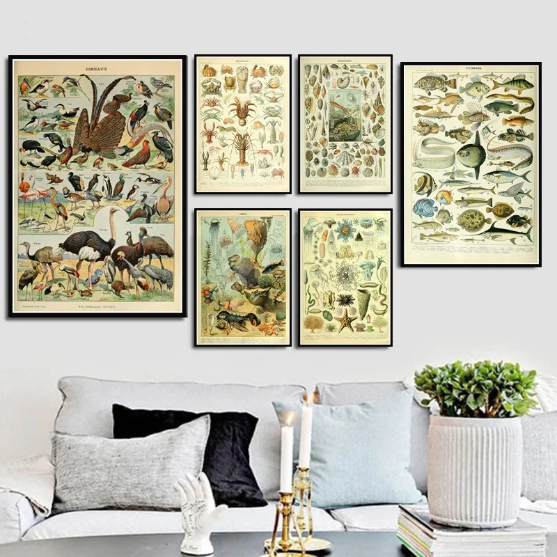 Ocean Sea Shell Fish Animal Chart, Print Art Canvas Poster,Living Room Decor, Home Wall Picture