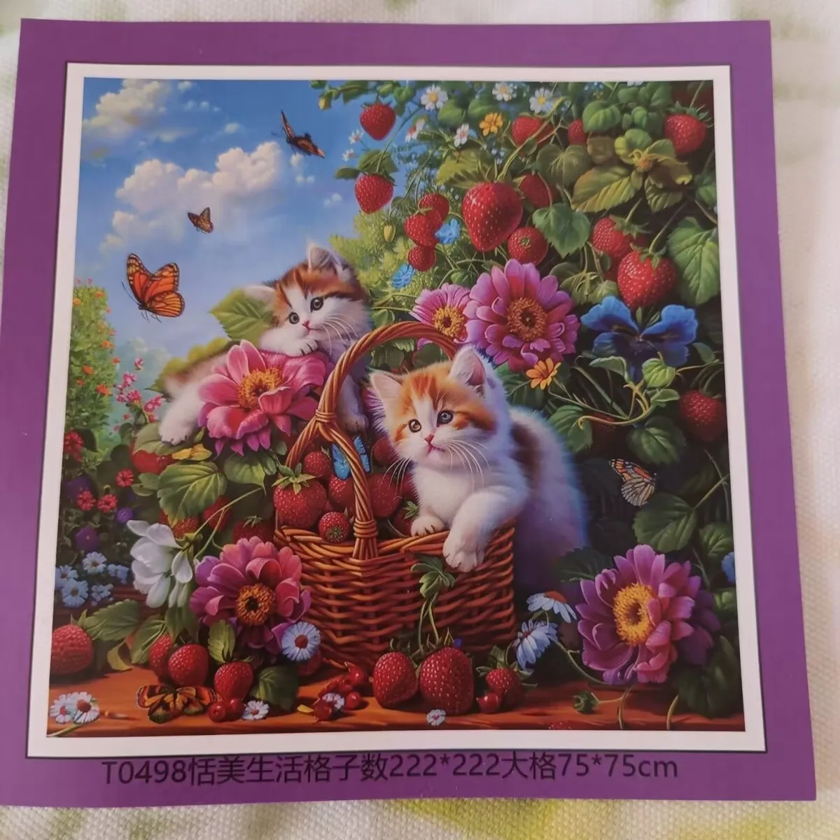 9Ct 75X75Cm Cats Em… - image
