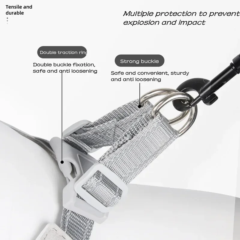 مجموعة أحزمة ومقود للكلاب شبكية عاكسة قابلة للتعديل ، بدون سحب ، سترة حيوانات أليفة للكلاب والقطط الصغيرة ، حزام الصدر ، البلدغ الفرنسي