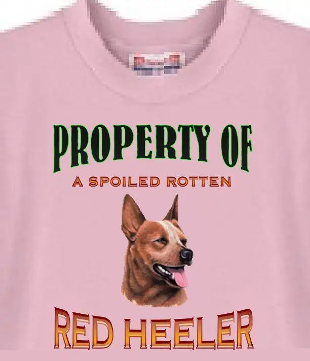 

Dog T Shirt Men Women - a Spoiled Rotten Red Heeler - Cat T Shirt Available