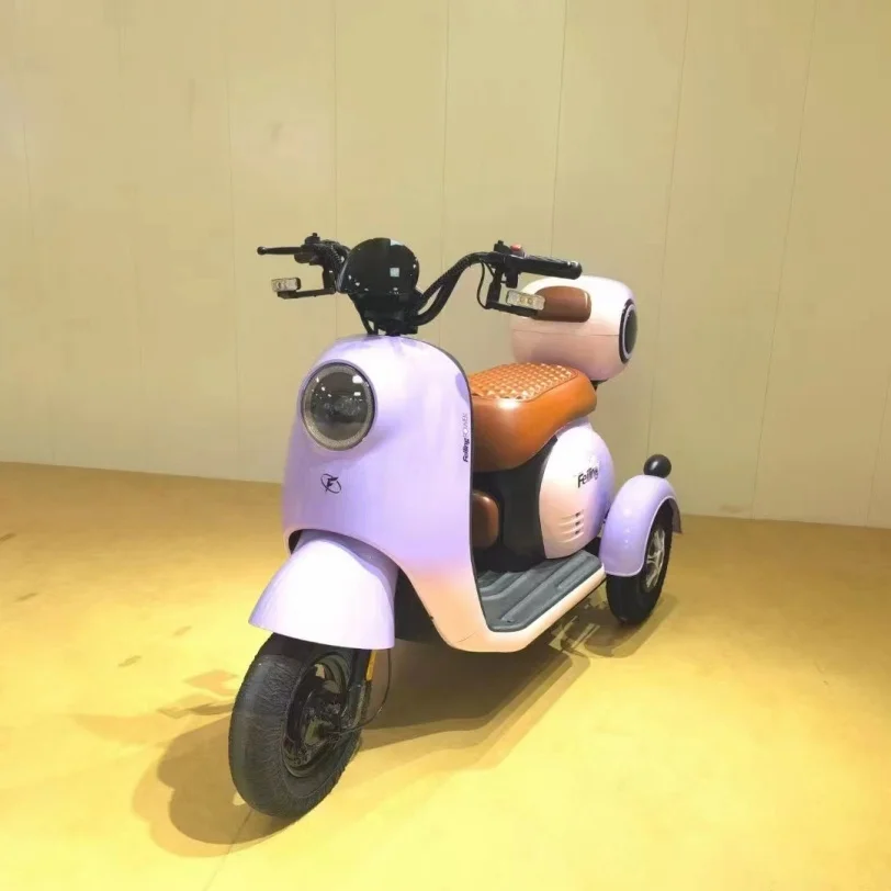 Hot Sale Adult Three-Wheel Electric Tricycle Open Body 500W-800W Motor 48V20Ah Battery