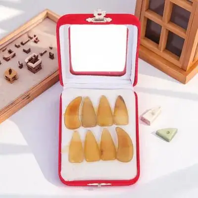 

Guzheng Nails Covers Fake Lute Instrument Accessory Horns Practice Child Finger Protectors