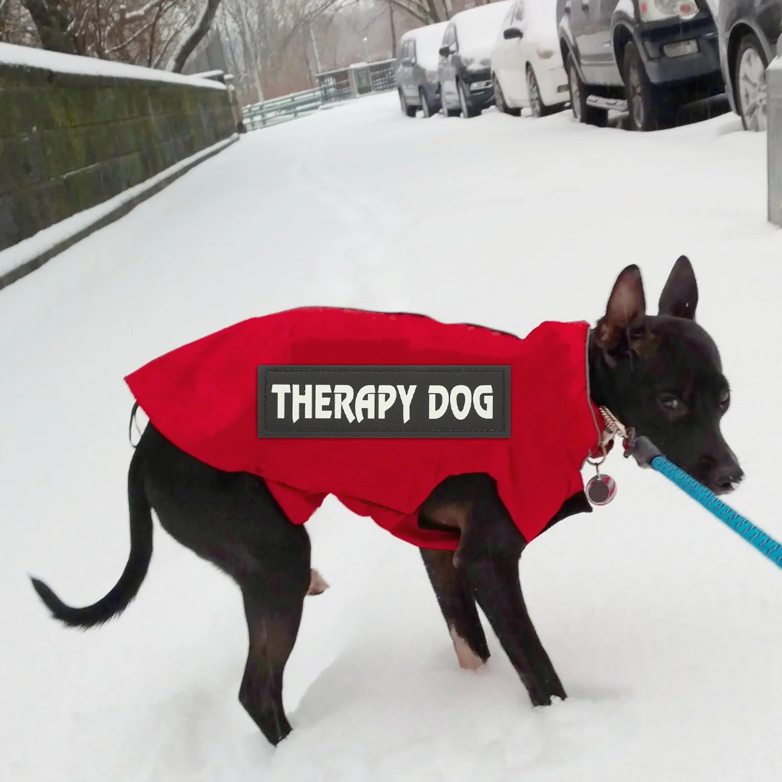 

1Pair Night Luminous Hook Loop Pet Harness Patches Stylish Reflective Dog Vest Patch for Walking At Night Wear Resistant