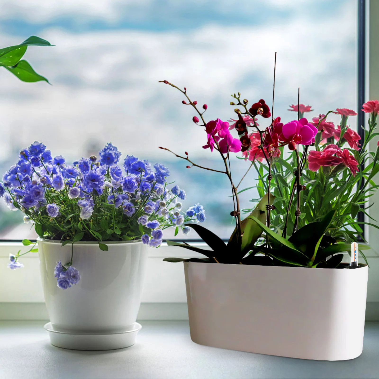 

5Pcs Plant Water Level Meter Multitask Tool Suitable All Flowerpots Sturdy Design Intuitive Display Simple Operation